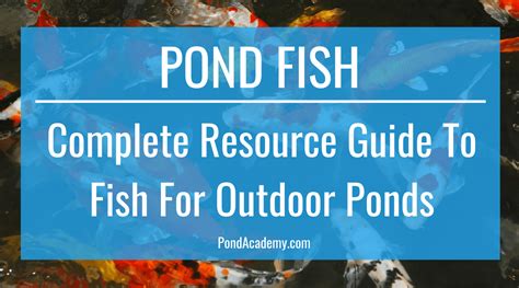 Pond Fish: Complete Resource Guide to Fish for Outdoor Ponds .
